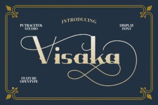 Visaka: A Dynamic Display Font for Creative Publishing